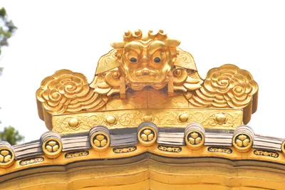 DSC_3872 (Large).JPG